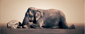 La legge d’Attrazione e la gratitudine