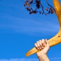 boomerang