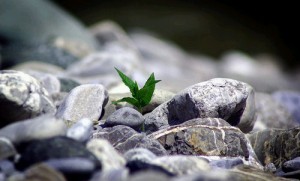 La forza interiore che cambia la nostra vita!