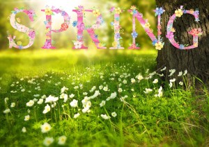 Equinozio di Primavera: la magia della rinascita